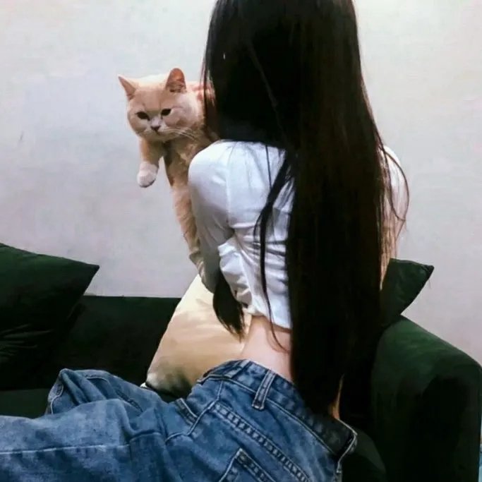 灰石之中